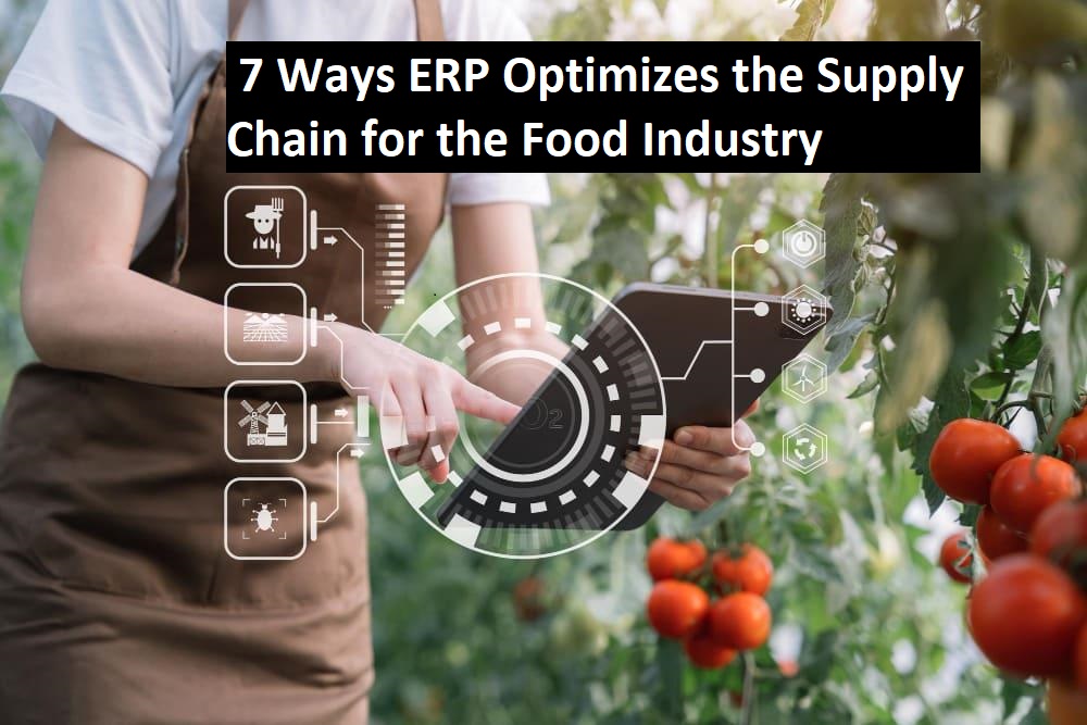 ERP Optimizes the Supply Chain